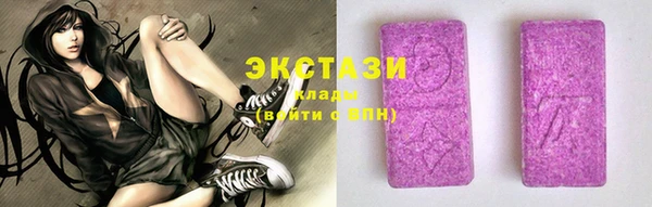 прущие грибы Гусь-Хрустальный