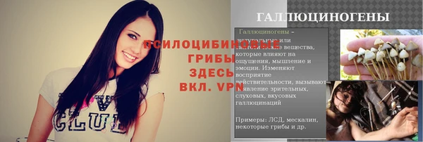 кокс Гусев