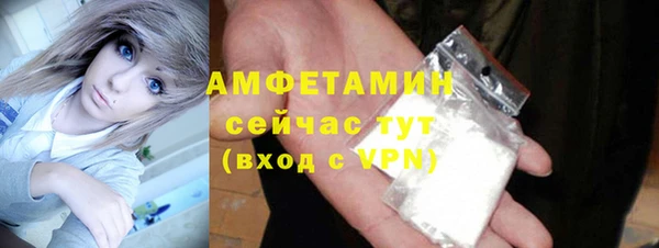 прущие грибы Гусь-Хрустальный