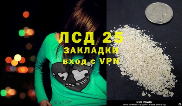 кокс Гусев