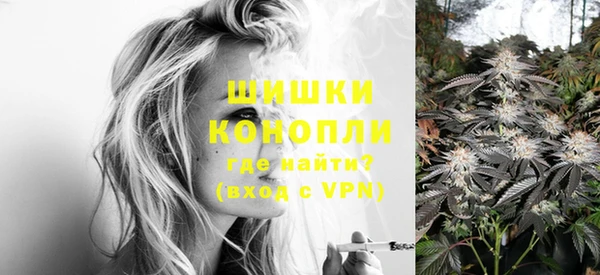 прущие грибы Гусь-Хрустальный