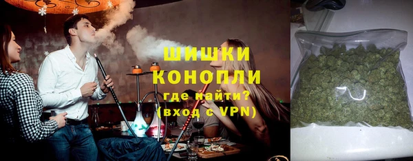 прущие грибы Гусь-Хрустальный