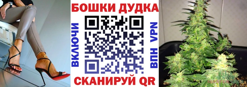 Бошки Шишки гибрид  Купить где  Каменка 
